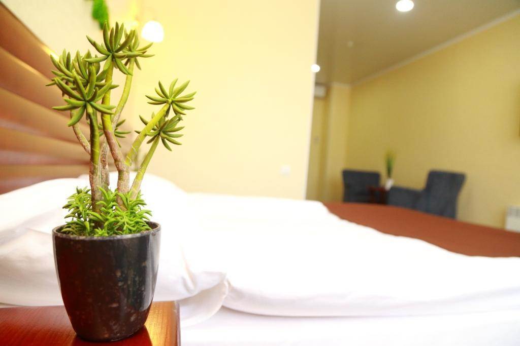 Green City Hotel 比什凯克 外观 照片